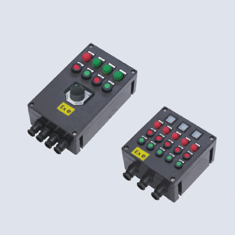 BXK8050-系列防爆防腐控制箱(IIC、 ExtD)
